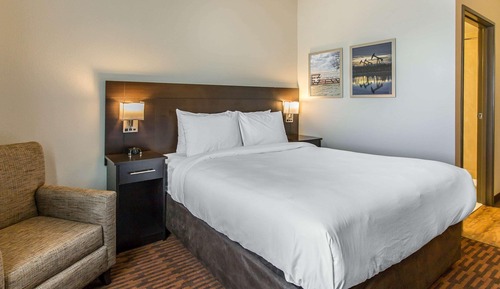 Chambre, 1 grand lit, accessible aux personnes à mobilité réduite, non-fumeurs (Efficiency)