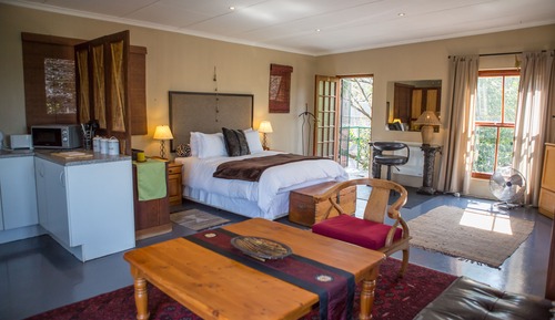 Studio Deluxe, 1 grand lit, réfrigérateur et four à micro-ondes, vue ville