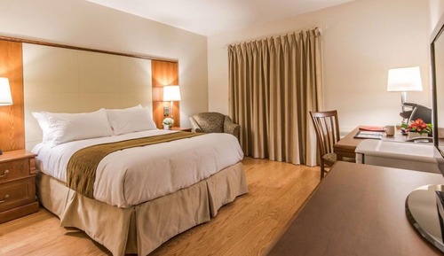 Chambre Double Classique, 1 grand lit, accessible aux personnes à mobilité réduite