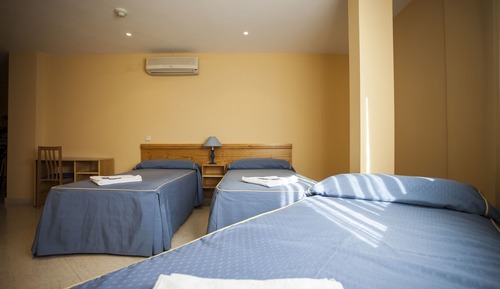 Chambre Triple Standard, salle de bains privée