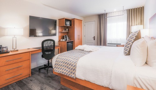 Chambre Affaires, 1 très grand lit