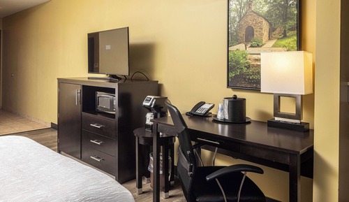 Chambre Standard, 1 très grand lit, non-fumeurs (with Single Sofabed;Larger Room)