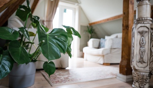Suite Supérieure, balcon (Zeguma)