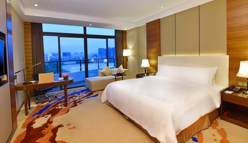 Chambre Affaires, 1 très grand lit
