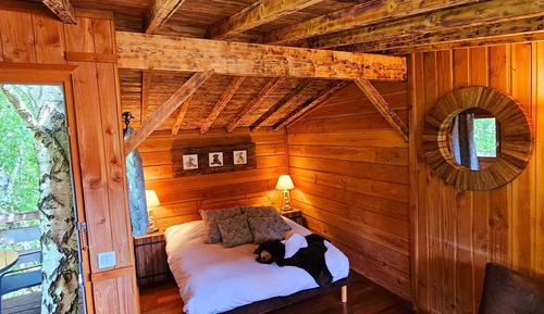 Cabane L'Ours Brun