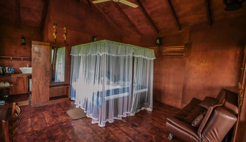 Tree House