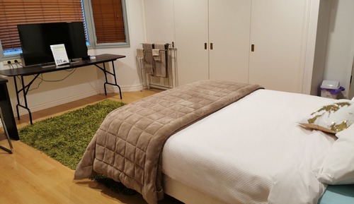 Chambre Deluxe, 1 grand lit (Deluxe Queen Room)