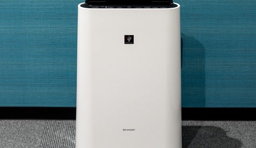 Chambre Simple, non-fumeurs (Japanese Modern A)