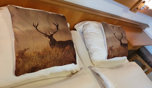 Chambre Familiale, 1 chambre