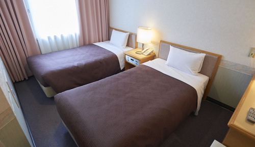 Chambre avec lits jumeaux, non-fumeurs