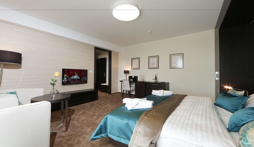 Chambre Supérieure Double ou avec lits jumeaux, balcon, vue lac