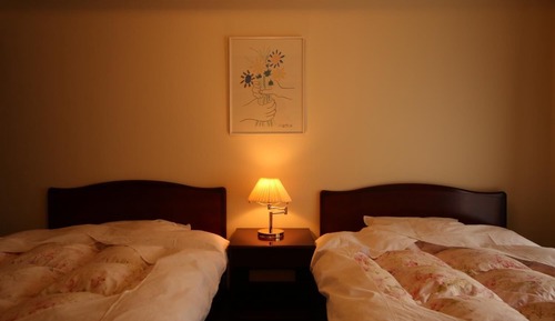 Chambre avec lits jumeaux, non-fumeurs