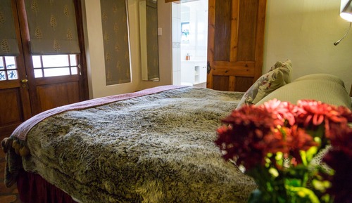 Studio Confort, 1 chambre (Porcupine)