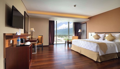 Chambre Deluxe, 1 grand lit, fumeurs, vue ville