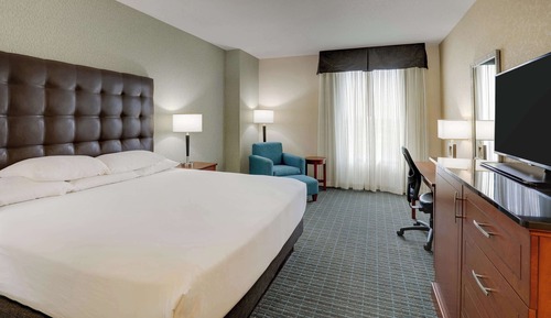 Chambre Deluxe, 1 très grand lit, accessible aux personnes à mobilité réduite (Roll in Shower)