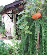 Huismes Maison | La Pilletrie, demeure de charme