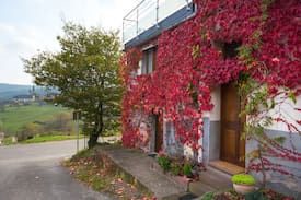Thannenkirch Appartement | Gîte "Chez Line”
