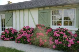 Capelle-les-Grands Maison | GITE EN NORMANDIE AU CALME A LA VERDURE