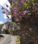 Cassagnoles Maison | Une Maison Ressourçante, authentique