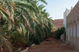 Ghardaia Autre | Séjour au Sahara au Gite Tarist de Ghardaïa