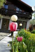 Busteni Villa | Nice&cozy chalet in the Carpathians