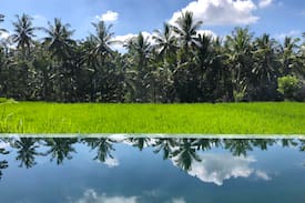 Petulu Villa | NEW 2BR Villa! 5 mins to Ubud - Ceylon Villas 5