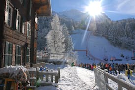 Wengen Appartement | Saxifraga Chaletwohnung in Wengen