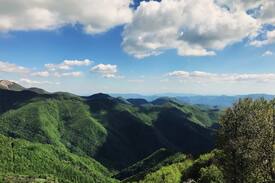 Castiglione di Garfagnana Autre | Wild Camping Paladini Forest floor pitch piazzola