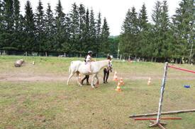 Saint-Victor-la-Riviere Autre | Dormez au milieu des chevaux
