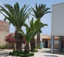 Cap Falcon Appartement | A3# Résidence Familiale Cap Falcon Ain elTurk Oran