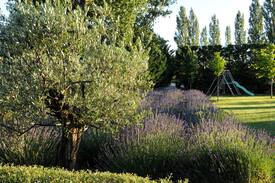 Robion Maison | Le Mas Molière, charming house facing the Luberon