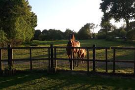 Ploulech Maison | Le Ranch Breton