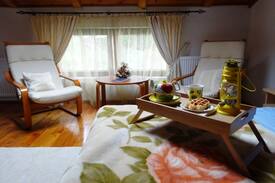 Busteni Villa | Nice&cozy chalet in the Carpathians