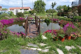 Novellana Maison | Villa Vacacional "Betania"