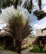 Mahajanga Villa | Bungalows Fanilo (La Corniche)