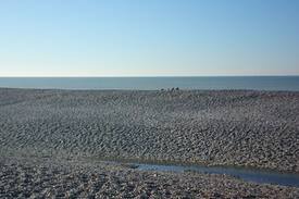 Cayeux-sur-Mer Maison | Entre terre et mer, gîte situé à Brighton les pins