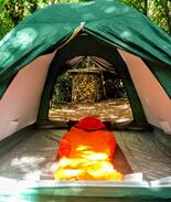 Castiglione di Garfagnana Autre | Wild Camping Paladini Forest floor pitch piazzola