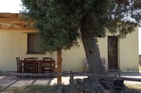 Tratalias Maison | AGRITURISMO MEDAU BECCIU - S'apposentu