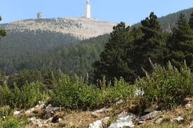 Roaix Autre | Gîte Le mas des vignes proche Mont Ventoux