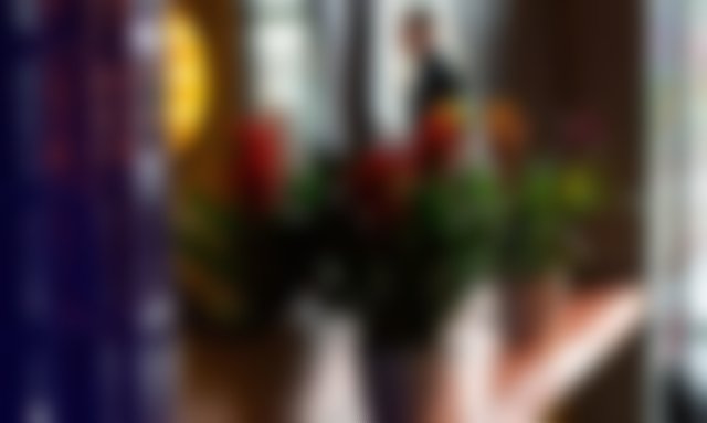 Saint-Jacut-de-la-Mer Maison | La maison à quai