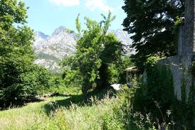 Bocognano Maison | Un havre de paix entouré de montagnes