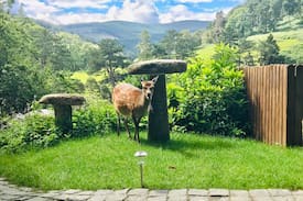 Glendalough Maison | ‘An Cillín’, a rustic retreat in Glendalough