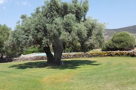 Tratalias Maison | AGRITURISMO MEDAU BECCIU - S'apposentu