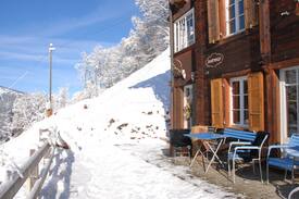 Wengen Appartement | Saxifraga Chaletwohnung in Wengen