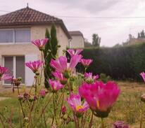 Neuffons Maison | Coeur Muscaline.