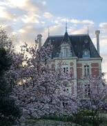 Janze Lit Et Petit-Déjeuner | Chambre d’hôte au Château de la Franceule