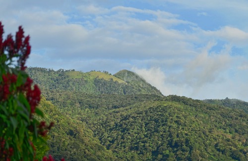 Boquete Maison | Ecoresort: We are Panamas leading honey producer and butterfly exhibit.