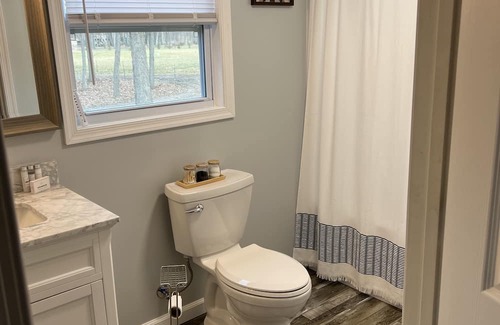 Lyndhurst Maison | Cozy Creekside Home with the National Forest at your back door !