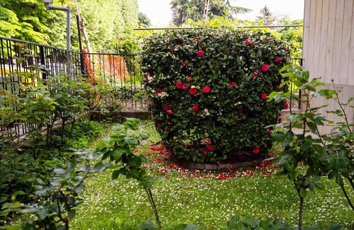 Vercelli Appartement | Vrbo Property