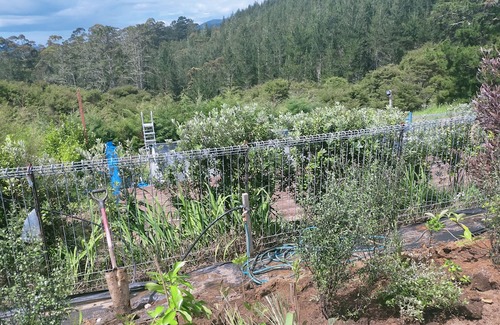 Hikuai Maison | Vrbo Property